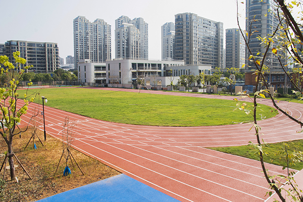 锦凤小学 (1)